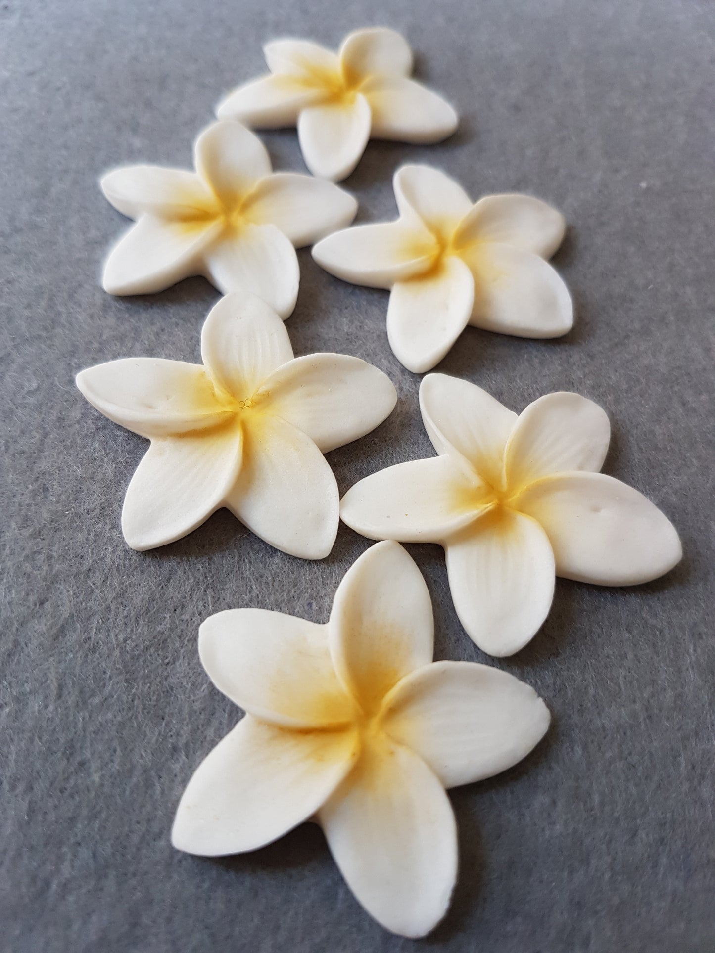 Frangipani One-Size 6pcs Edible Cake Decorations