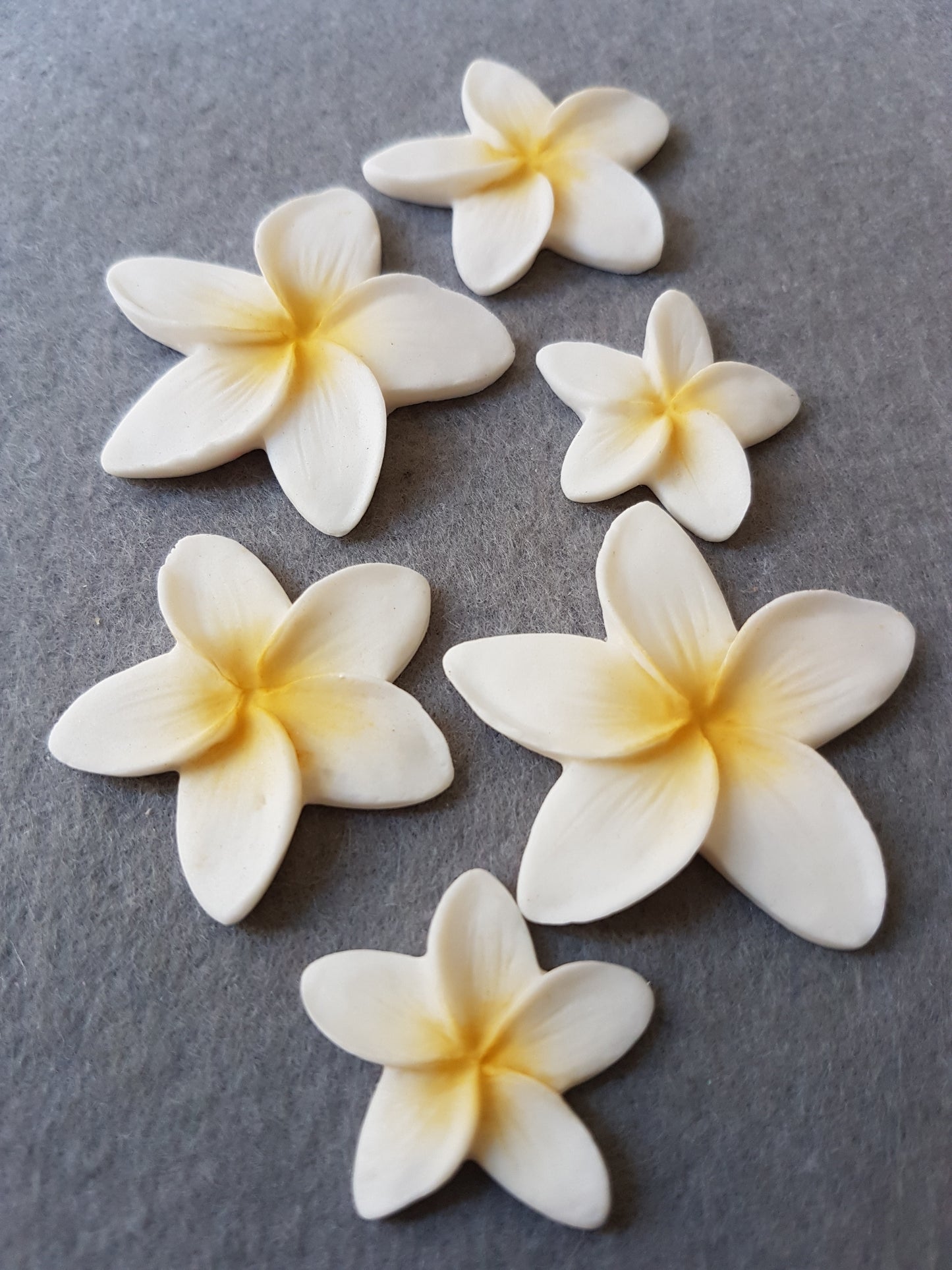 Frangipani Mixed-Size 6pcs Edible Cake Decorations