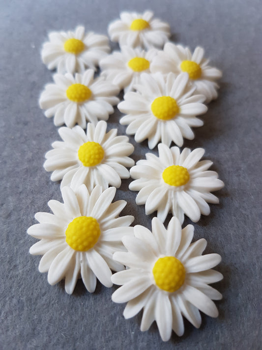 Daisy - White 10pcs Edible Cake Decorations