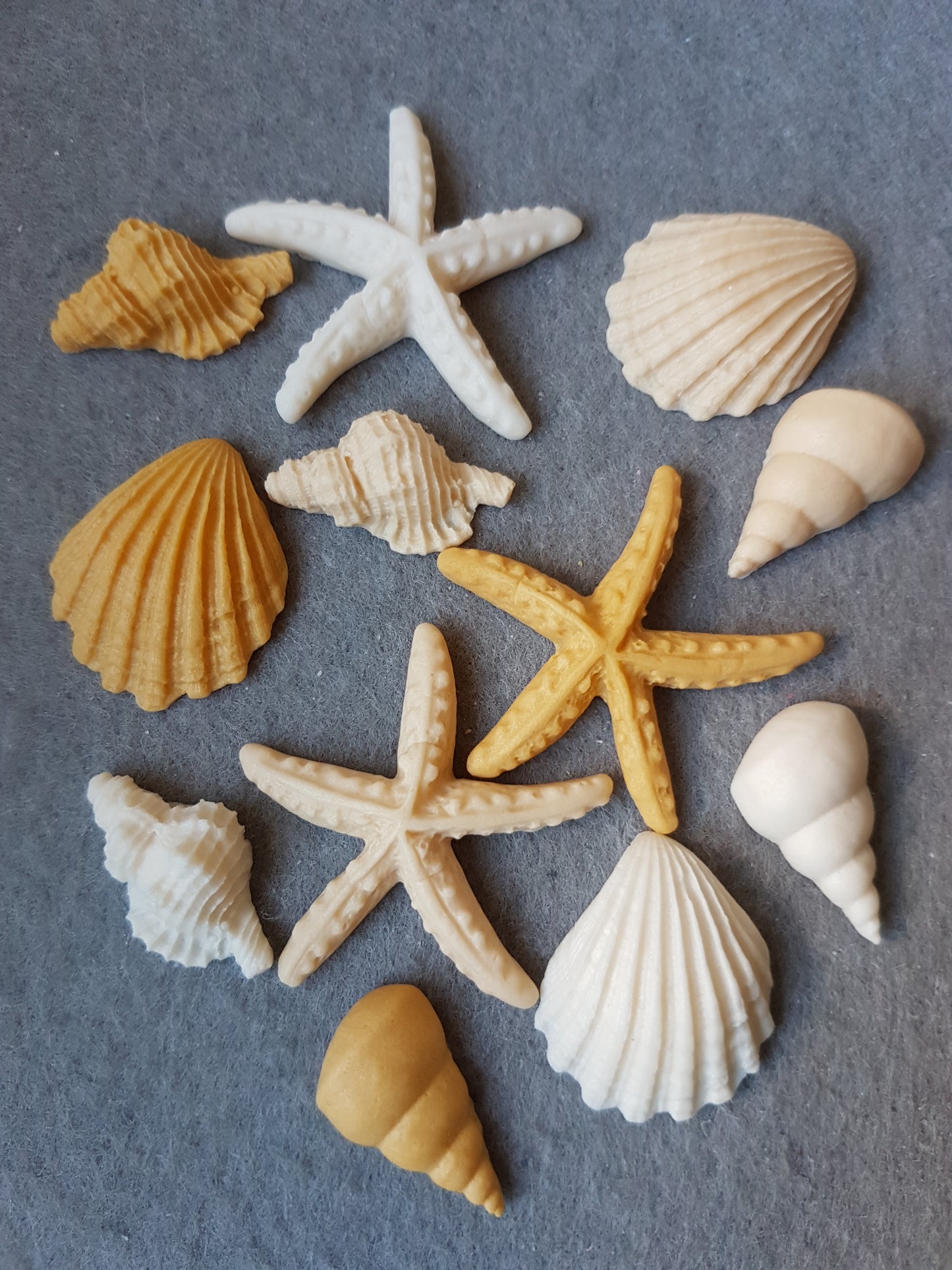 Sea Shells Set - Natural 12pcs Edible Cake Decorations