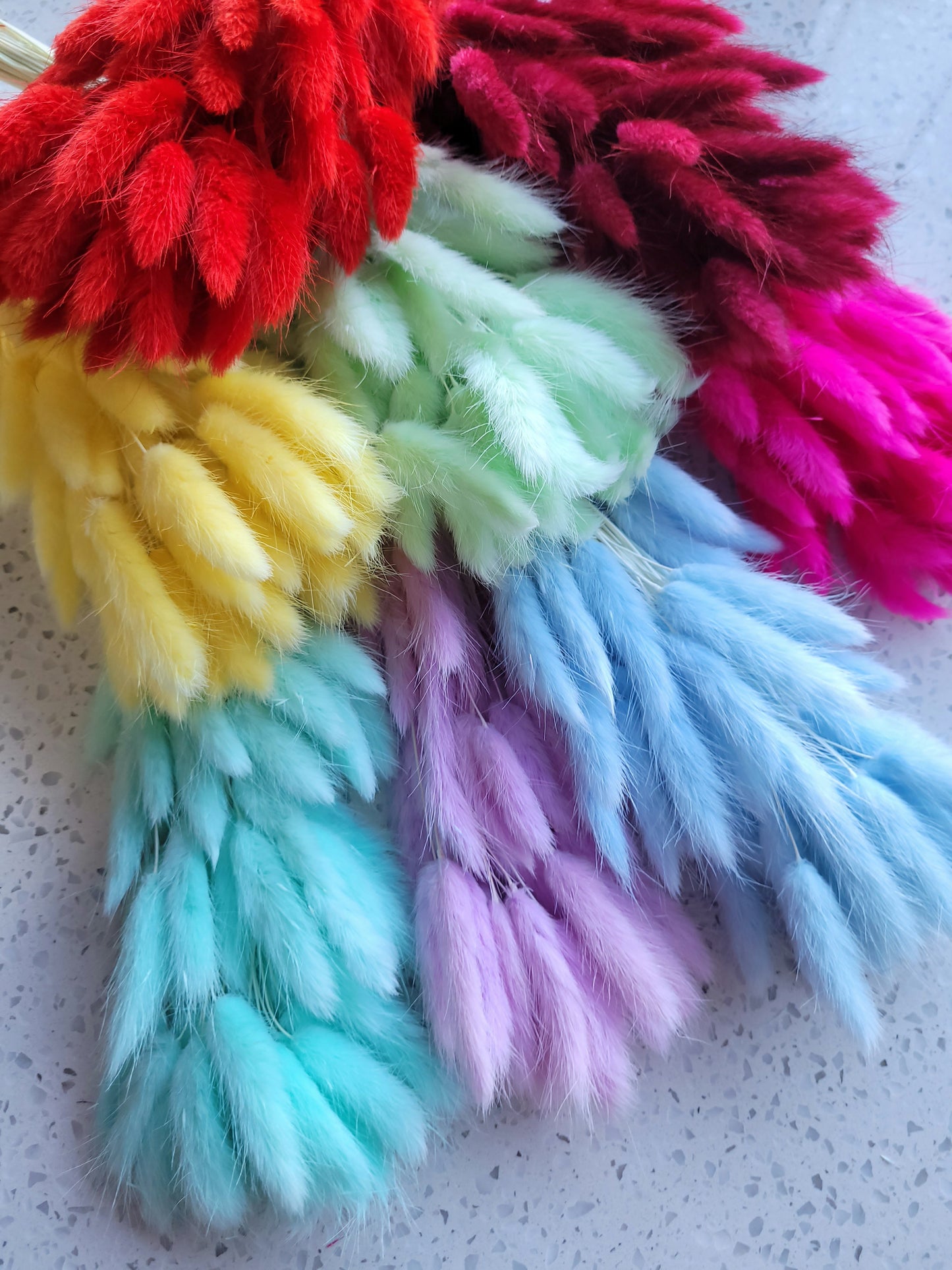 Dried Bunny Tail Steam Assorted Colours