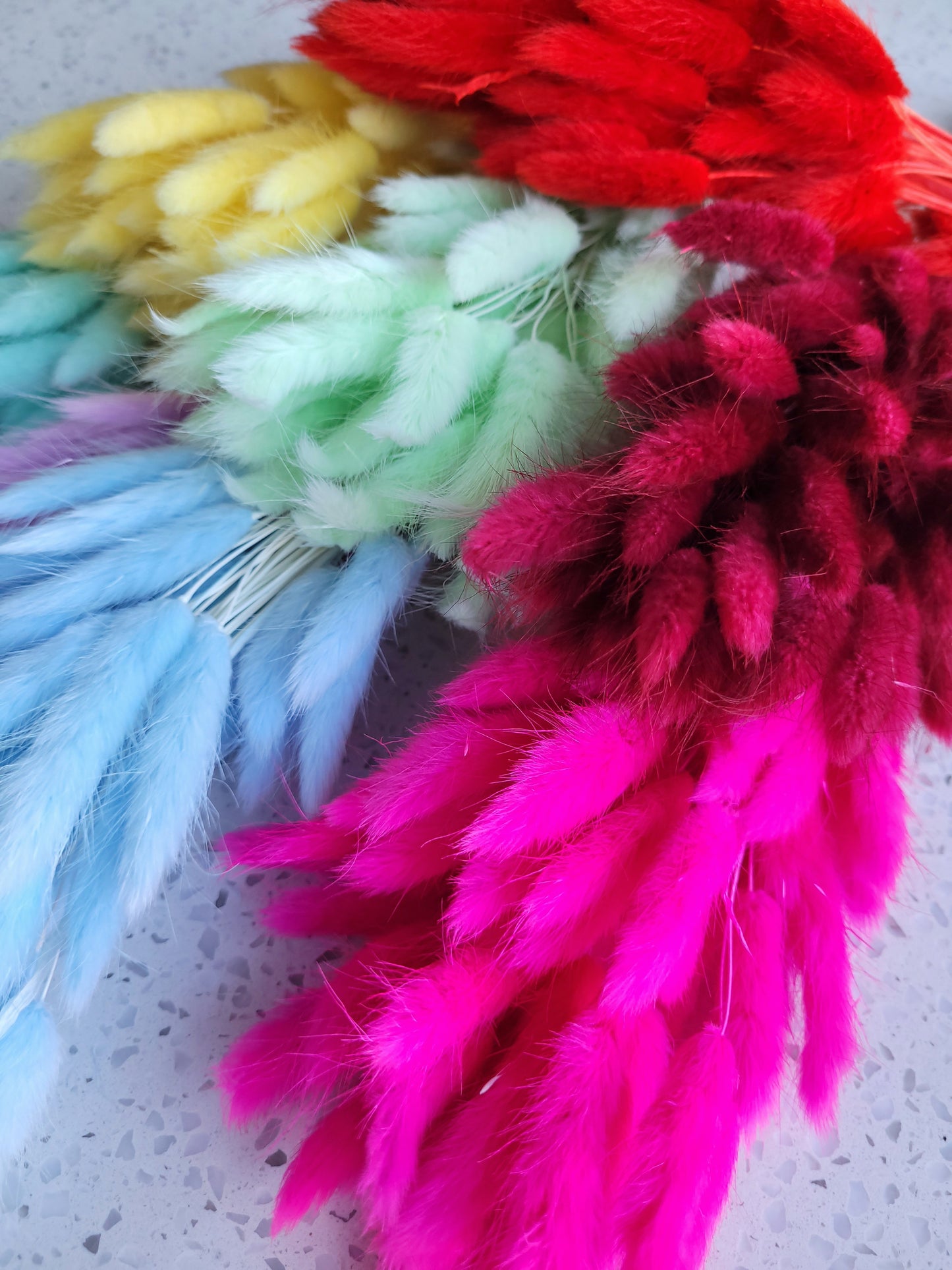 Dried Bunny Tail Steam Assorted Colours