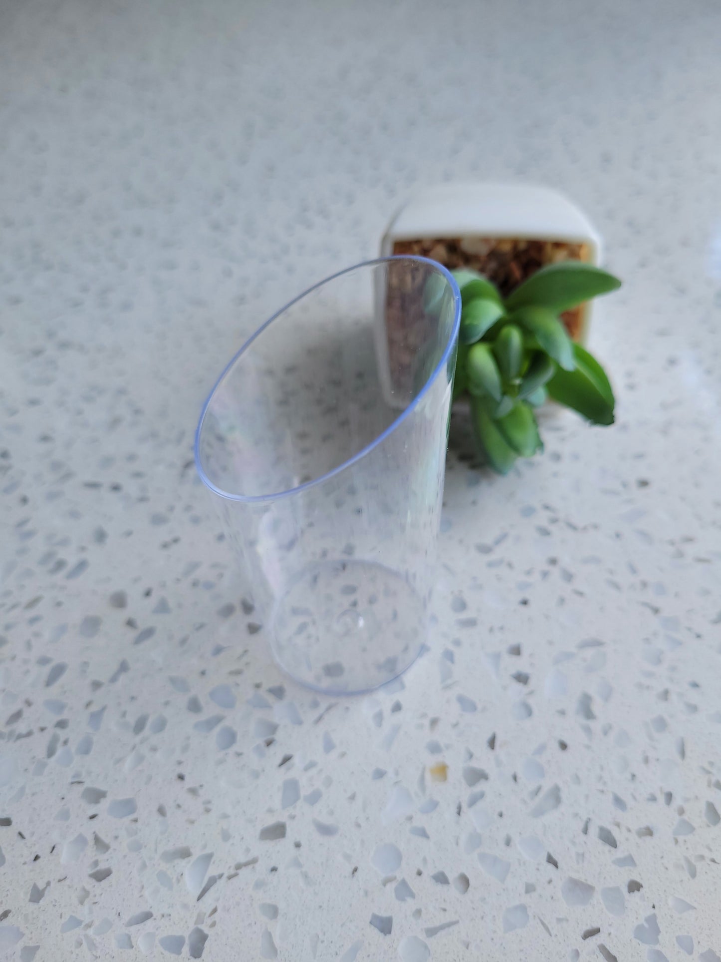 Angled Clear Plastic Canapes / Dessert Cup