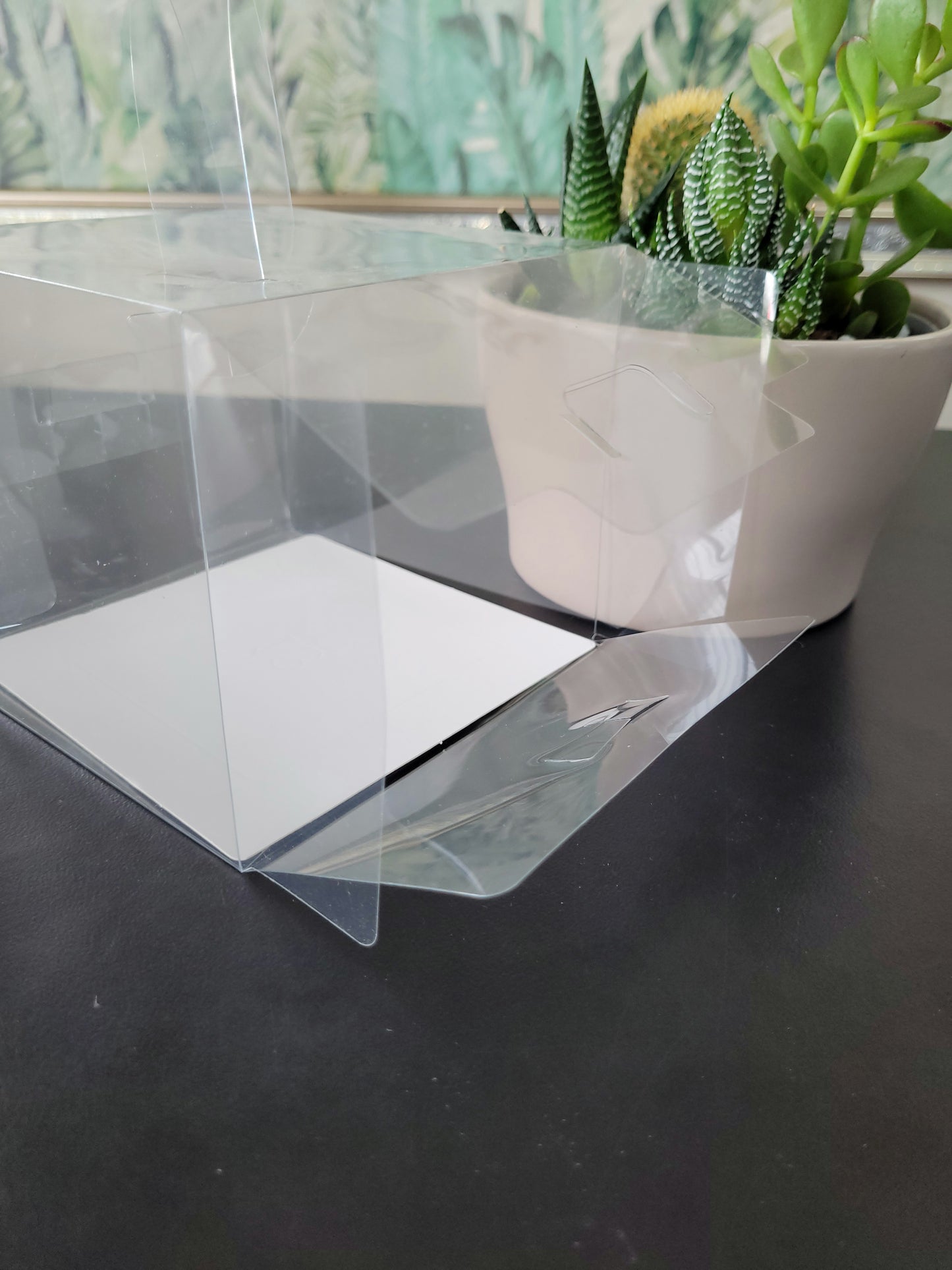 Clear Cake Box & Cake Board with Handle