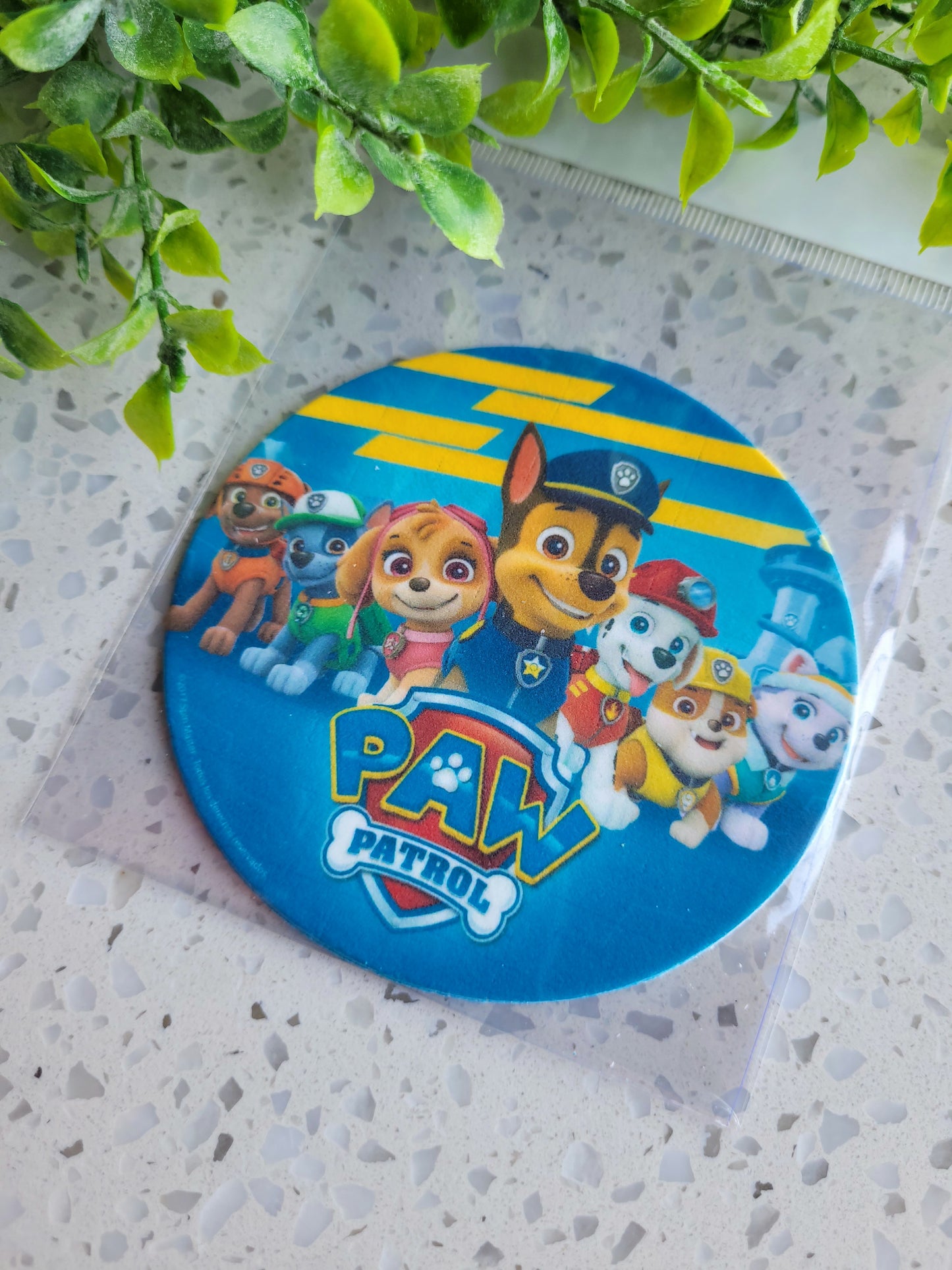 Assorted Size Fondant Topper Paw Patrol #02