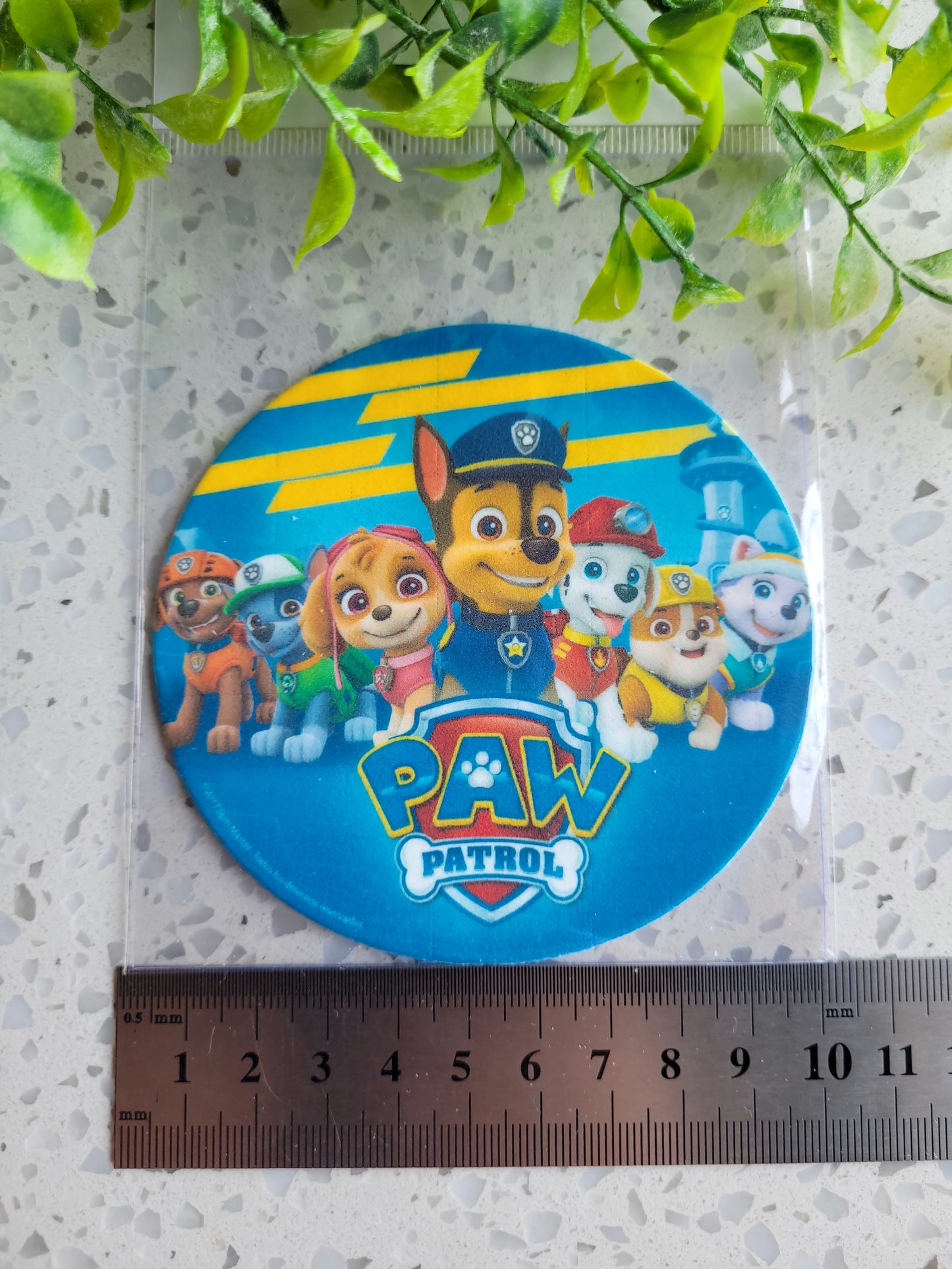 Assorted Size Fondant Topper Paw Patrol #02