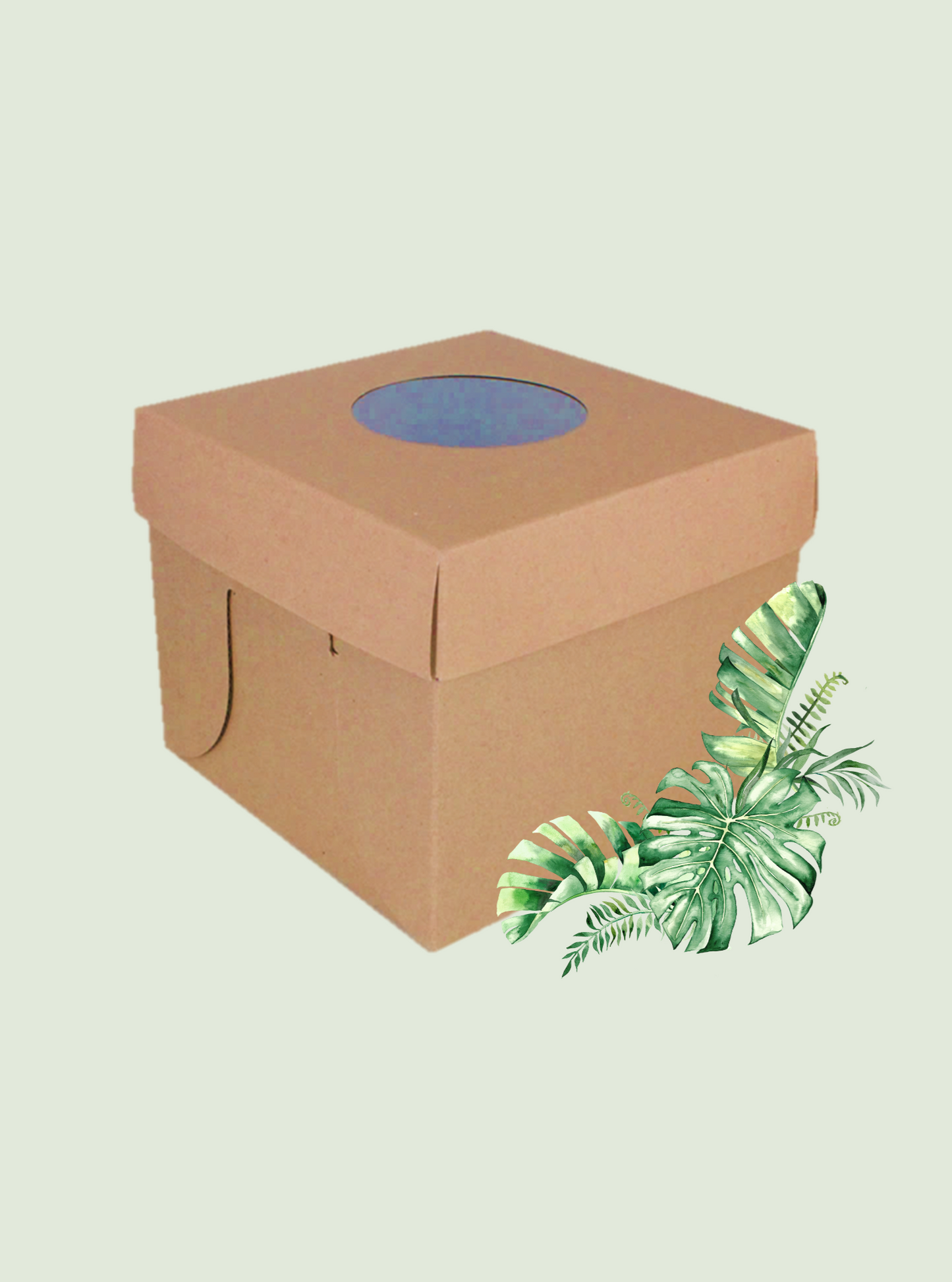 Corrugated Cake Box & Window Lid  8x8inch